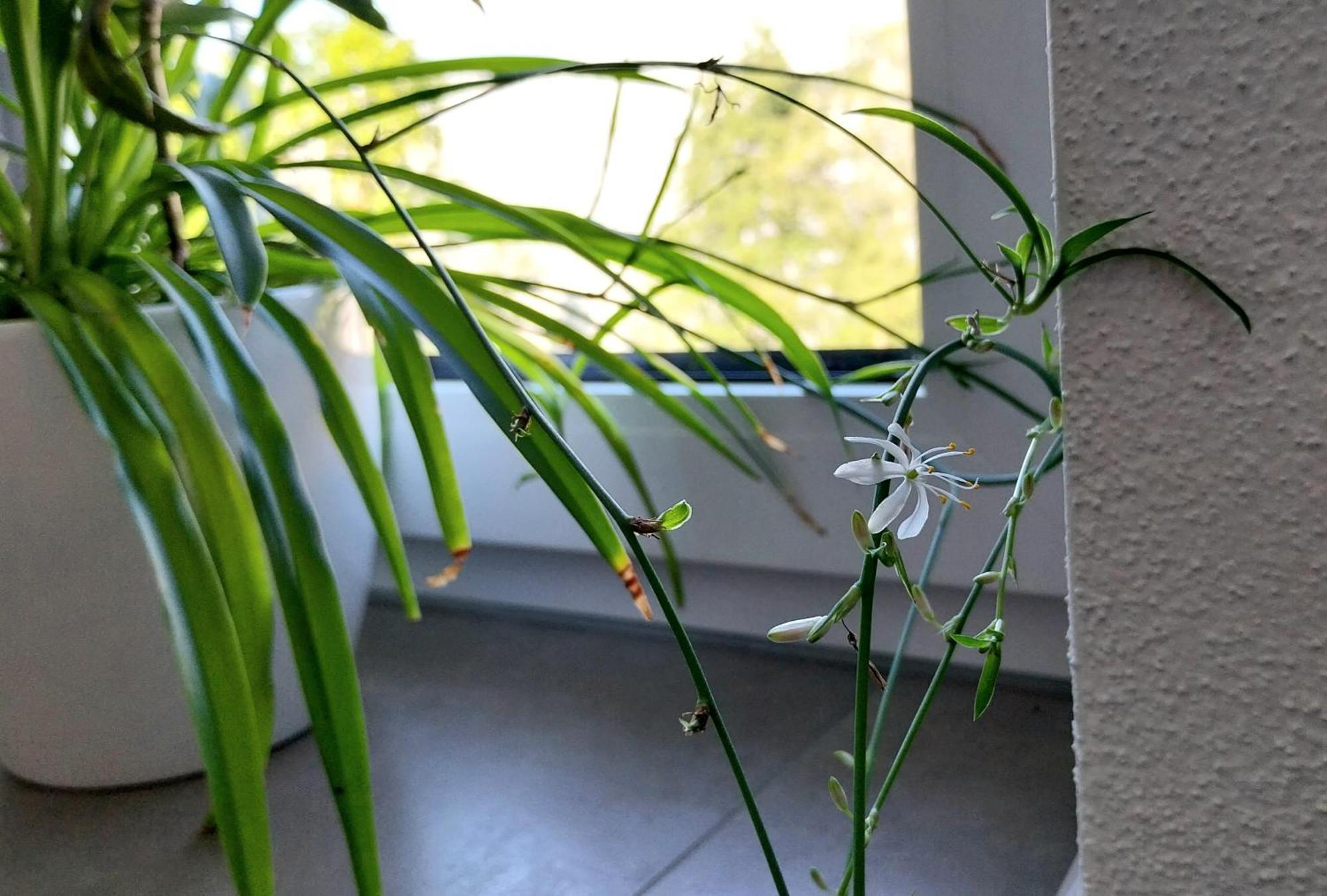 Kempten Mit Bauernhof-Flair Exteriér fotografie